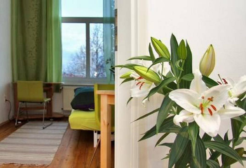 Private Gästezimmer bei Ila Zimmerling Dresden Rum bild